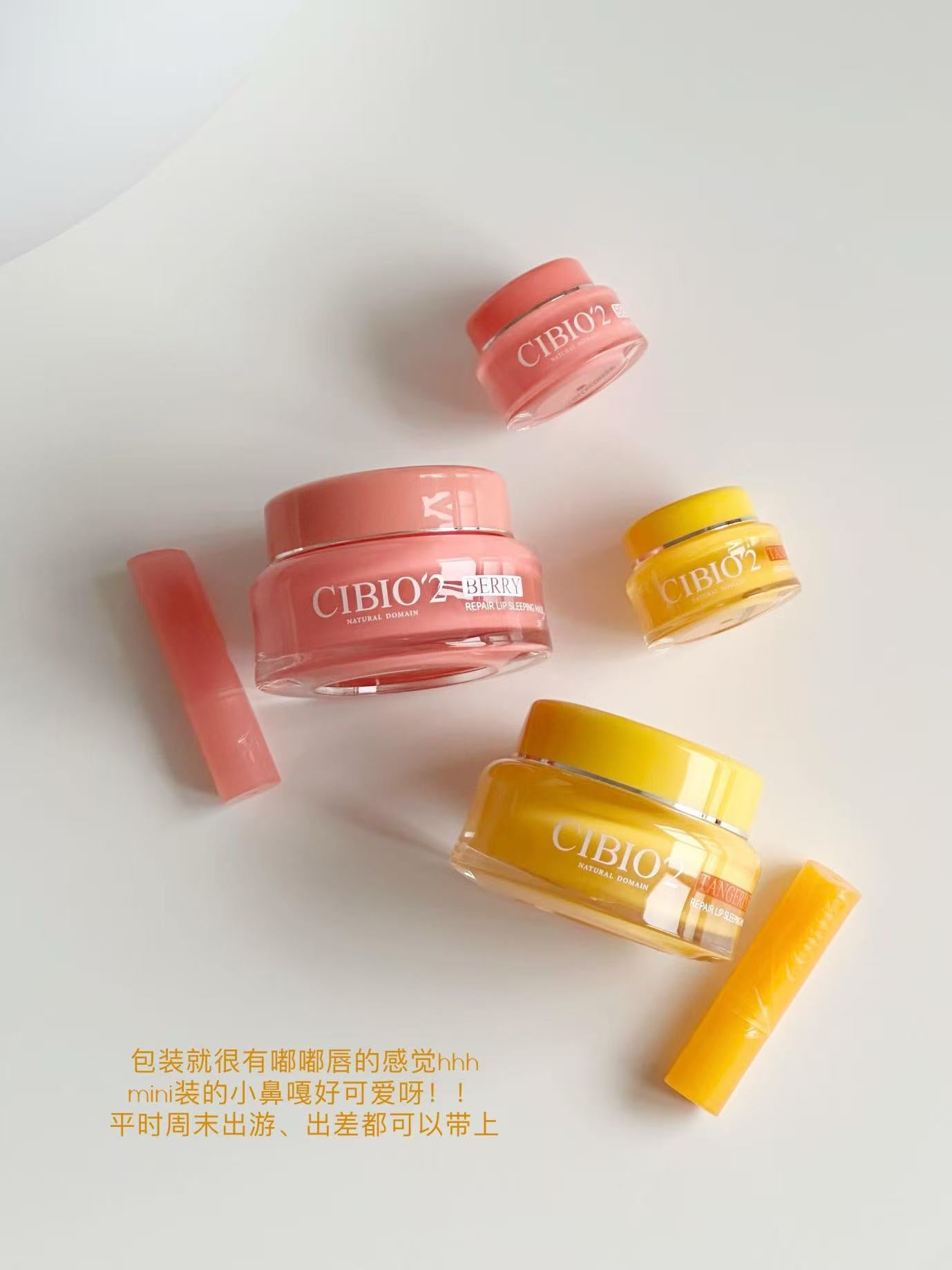 Tiktok/Douyin Hot CIBIO'2 Sleep Moisturizing and Repairing Lip Mask 4.0 15g【Tiktok抖音爆款】希蓓欧睡眠保湿修护唇膜4.0