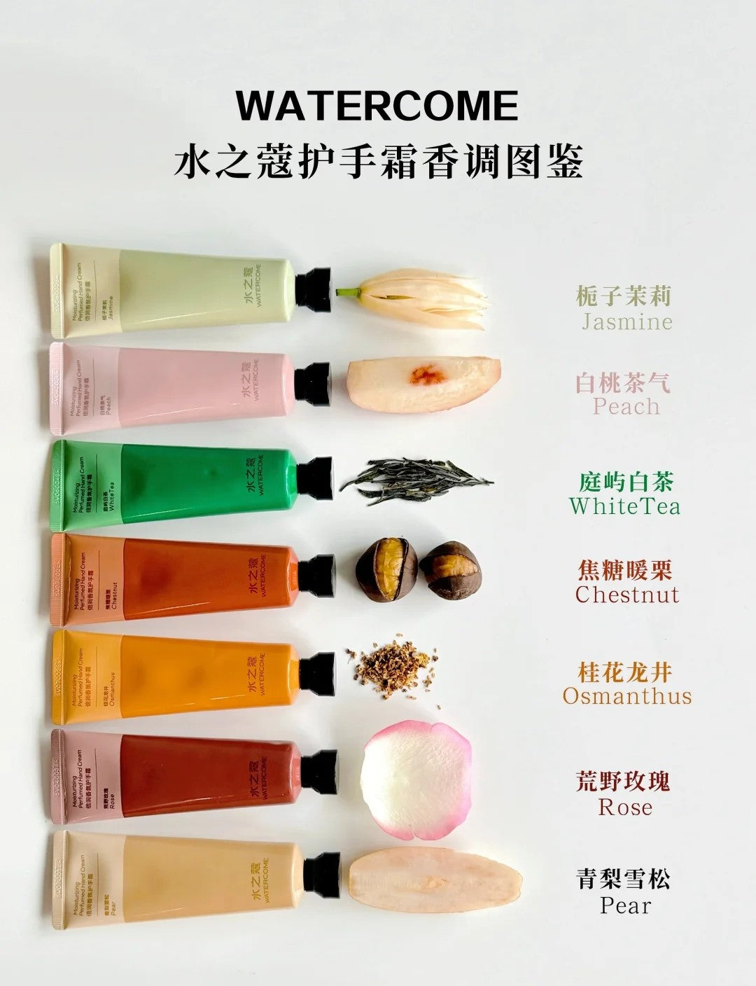 Watercome Moisturizing Perfumed Hand Cream 40g 水之蔻倍润香氛护手霜