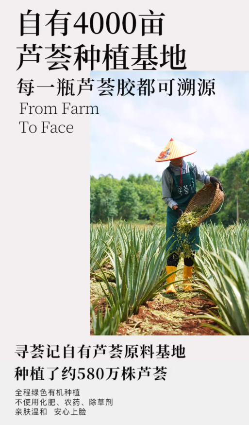 Tiktok/Douyin Hot XUNHUIJI Aloe Vera Fresh Gel 40g/200g【Tiktok抖音爆款】寻荟记精粹芦荟原胶