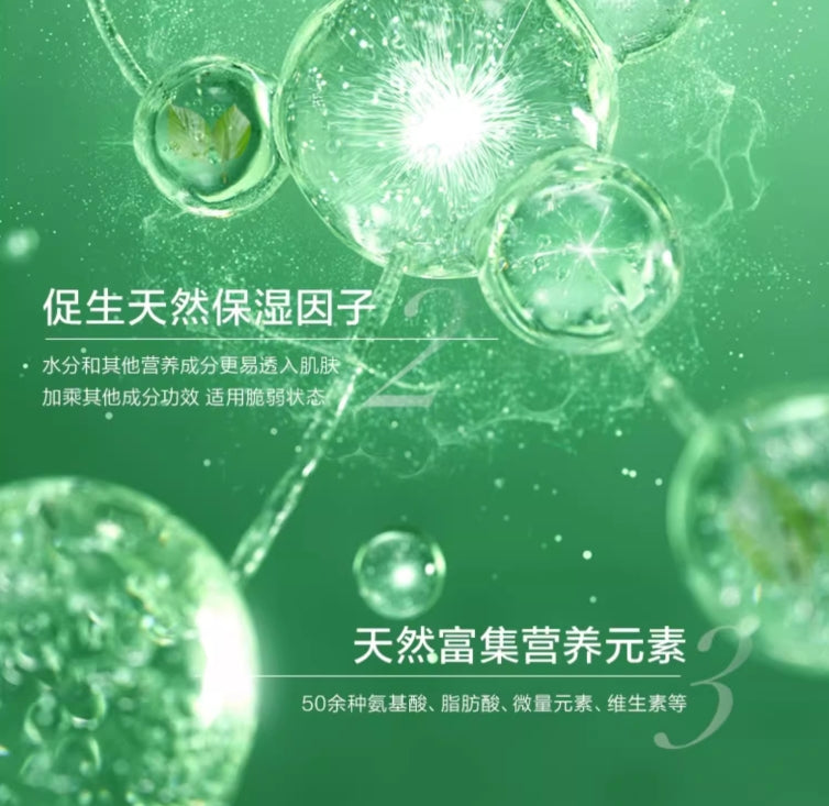 Tiktok/Douyin Hot YOSEIDO Birch Juice Hydrating & Moisturizing Mask 24ml*5pcs【Tiktok抖音爆款】养生堂桦树汁补水保湿面膜